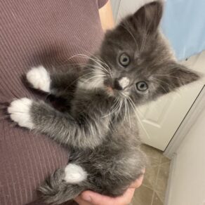 0f7f347a7c1cb730b51b7b106a3712b3