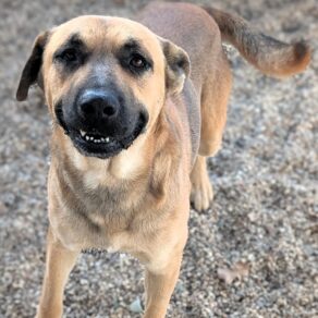 10a73b271a83700c746a998fa558a97e