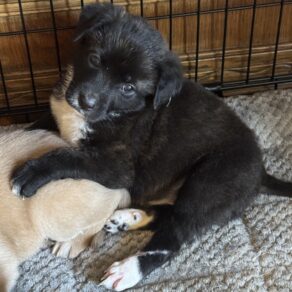 114105961952d5b0ecf4ebb48af07077