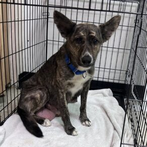 12e25c64400360ec3299e00bde53c7f0