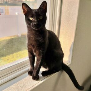 12e32ff55586087d4aece1cdadfac37b