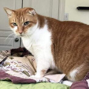 1310f6af662f027e1807cfea7bffb9af