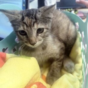 144bd61854431c229c95bfbc5ef748fb