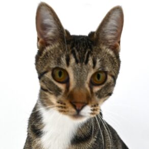 14dd0522dc74828eab6feca9ed84302b