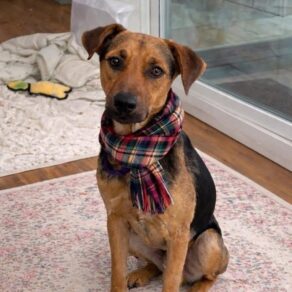 19463fd5fa92fec897390c4b61f5ed5d