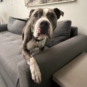 19ba85cea95da6a2838e3a7f14630b29