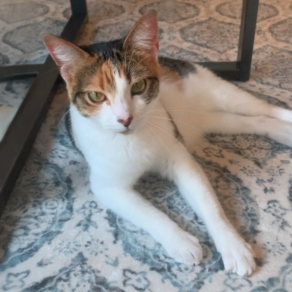 19d151ea6af49cb36be52f045648d675