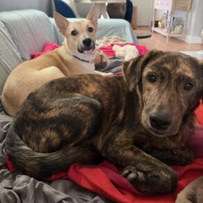 1c05d34edbcf6bd6b5619510eb18bcd5