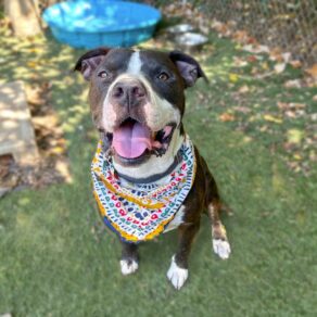 1d1b5fa8c81991539b09f53190cc129c