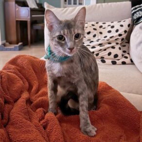 1eac88bfc1a9a2986db520e948df547d