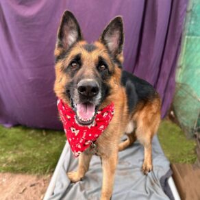 21a0bd80316943fea69e5cbfd54be8a9