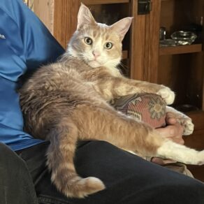 222f5041b6d5615c235dfa9879a08936