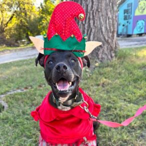 22721dc2cf2480c7de0b5e1653bf5bd2