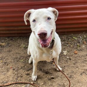 22cbd2a05ea59c2a38b734b46a04e258