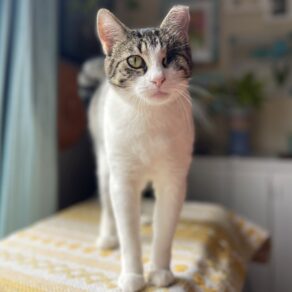 2511de1cc13f02fe31eea9bf4589ad5c