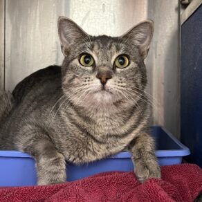 2826e1039835f02f63b4eed8d4620f43