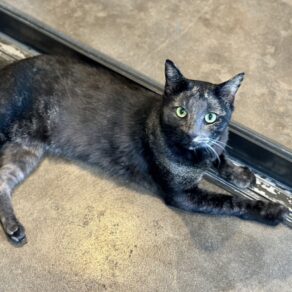 282767ffe43f861841182c357f12632d