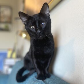 293349af0c3f66efdd07e606da3efd75