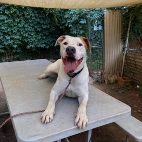 2aa65f67295994e7c9240391a35f6e10