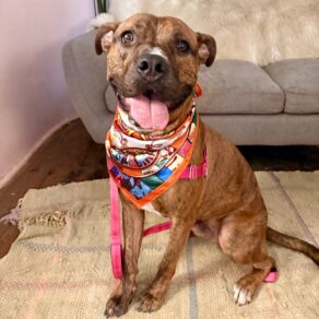 2c45cc650bc36c3998f546c6c3cb96f6