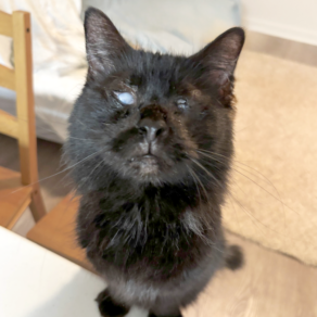 2ca052ab097aeb6329b5437349e20738