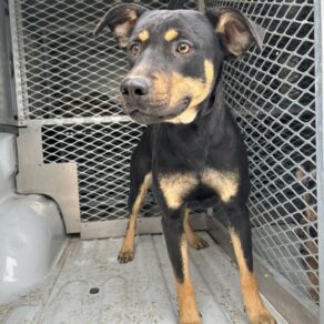 2cd02c7099453511bed1beba0136b2f6