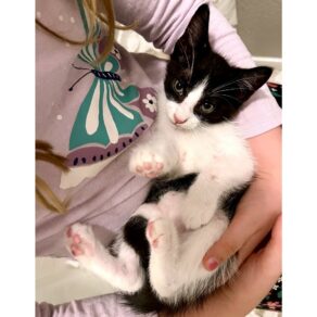 2cf26bafe93273aff2574f710a05b9e5