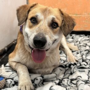 2e291a5120757ce46b731ec2efa48c0d