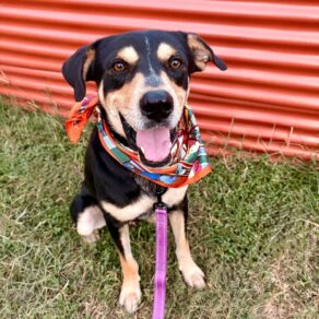 2ea49440c504289799d75cdf236525c2