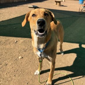 2f0fb4ffd784d0c82d5d4014efa23872