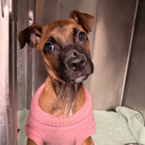 31178dfb9523a5422dc9d0be92fa9bd8