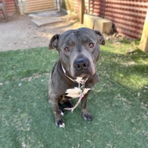 317a21cc7dae02bdcc0c111b7d079be3