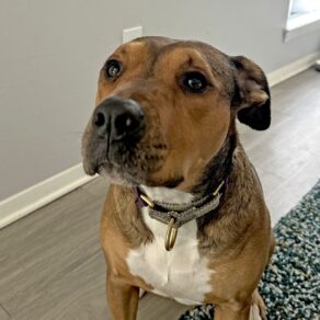 319ae43cc2d63330534fd6f3ca39318a