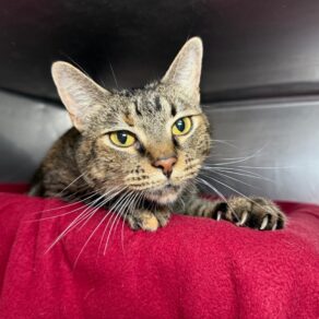 33f316919d849828b5ca6498b02b6d66