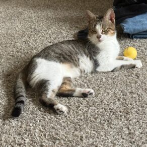 3506e5aac93fb9d58702cf220122f6e8