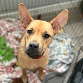 35bd4b758e3762199e8744319185e36e