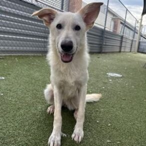 35fff17bb245854606aee18fa17f26db