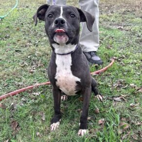 395d78514e684c692512bb269a061bd1