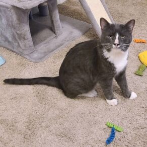 3b2460964a187030f0e16fb5e29f0f5a