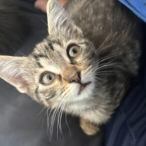 3c41d0124d5d6ee5192e3bead84134a3