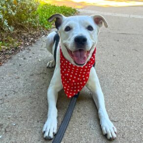 3c825a191faeee624720b8610363e8ab