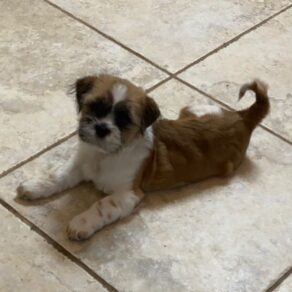 3d8992574cec872490b98ac9b2e5a8c6