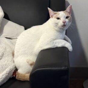 3e8e85c04aab13a23f8181c57a5d62bf