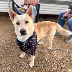 41a3ecb581a7f6a237752979b6f55141