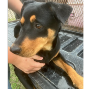 445b1be79dc0bf3c5ac187f3a1138af8