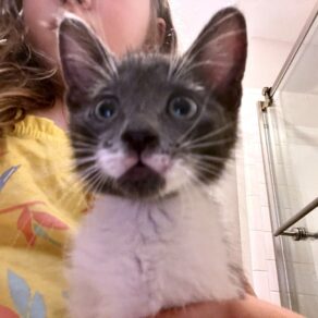 44eb485b17ce435e6c1a374e9c5c9296