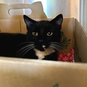 46ca8870f3783612c68b1768858f1f9e