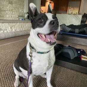 489765e04643e77a1114b093f2d72e1d