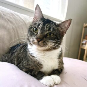 4c4241b4f007185fa9910fb2dca9889d