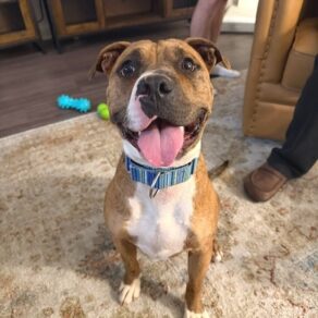 4ce0c241f5f6317ef85673d2f5a823b1